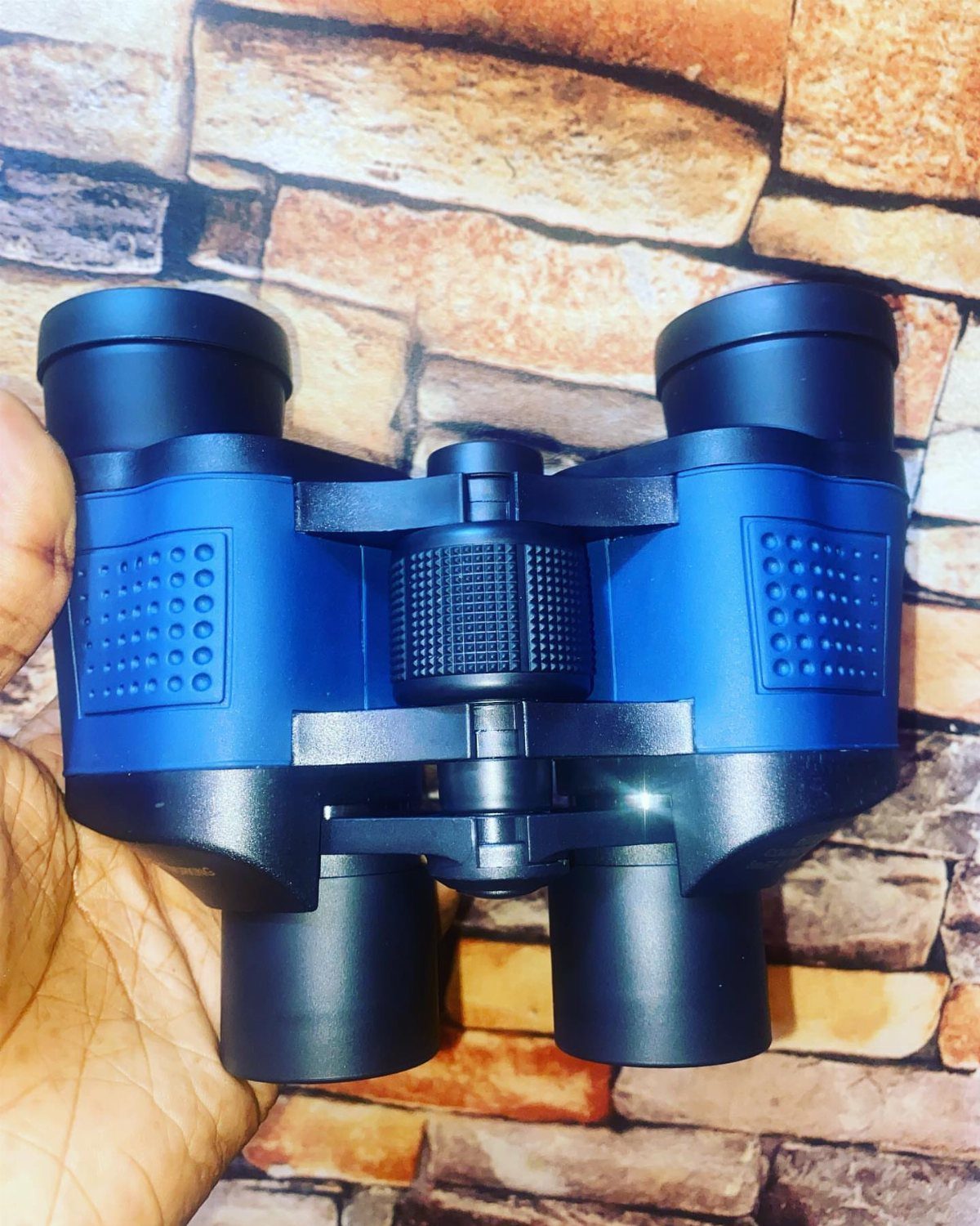 Blue and black binoculars held in a hand against a stone brick wall