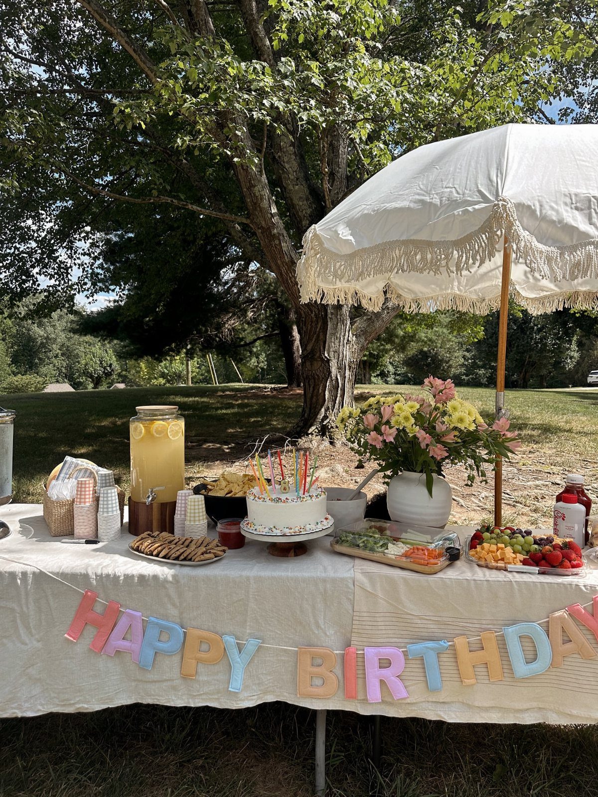Birthday party table outdoors with cake, fruit, and a Happy Birthday banner
