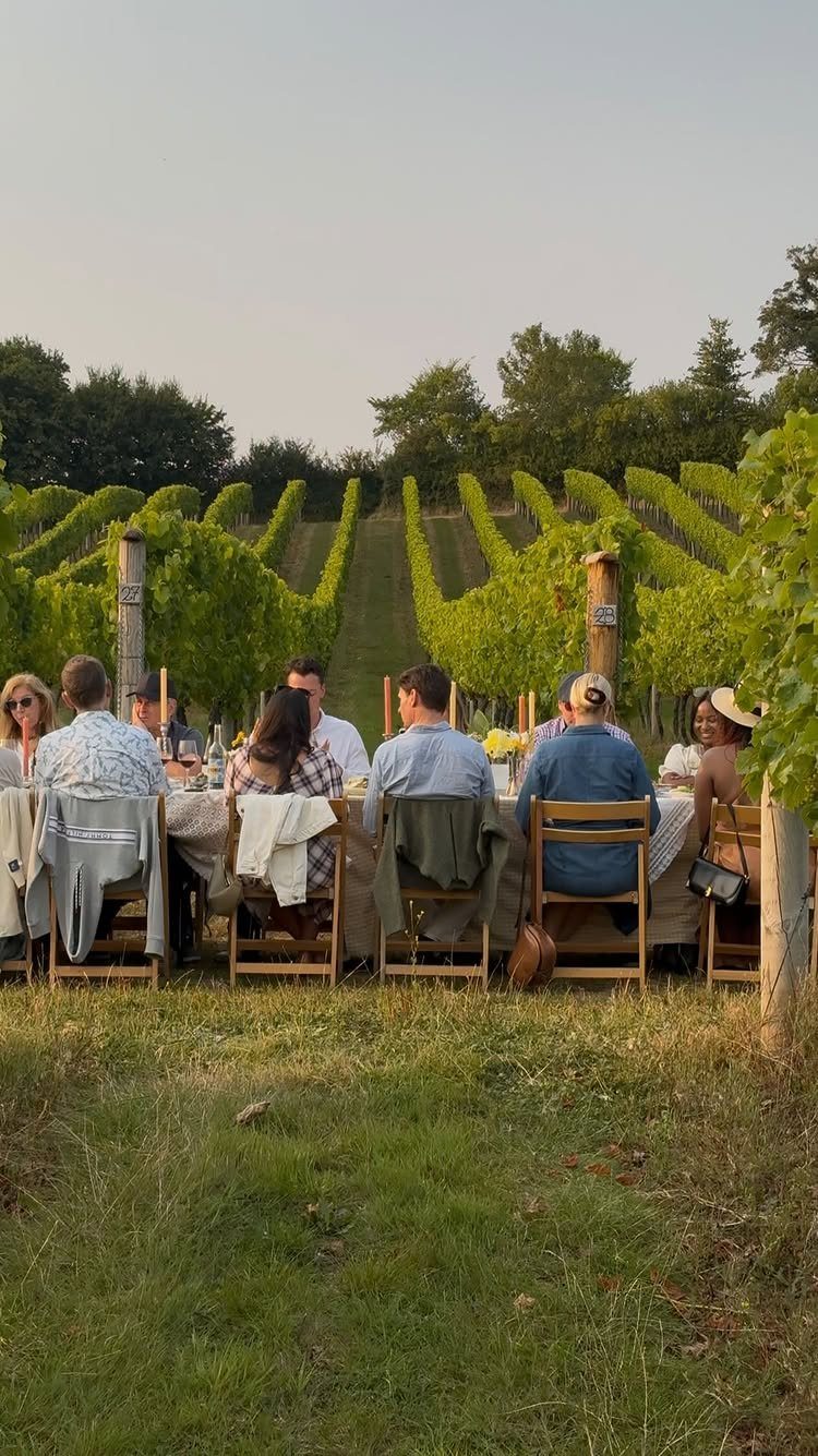 Group of adults dining at a long table in a green vineyard setting