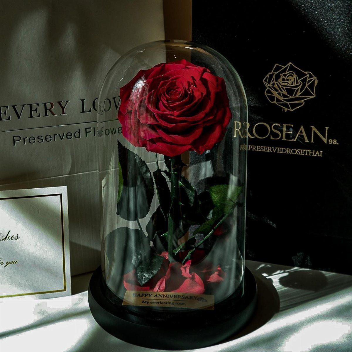Red preserved rose under a glass dome with a black base and gift box