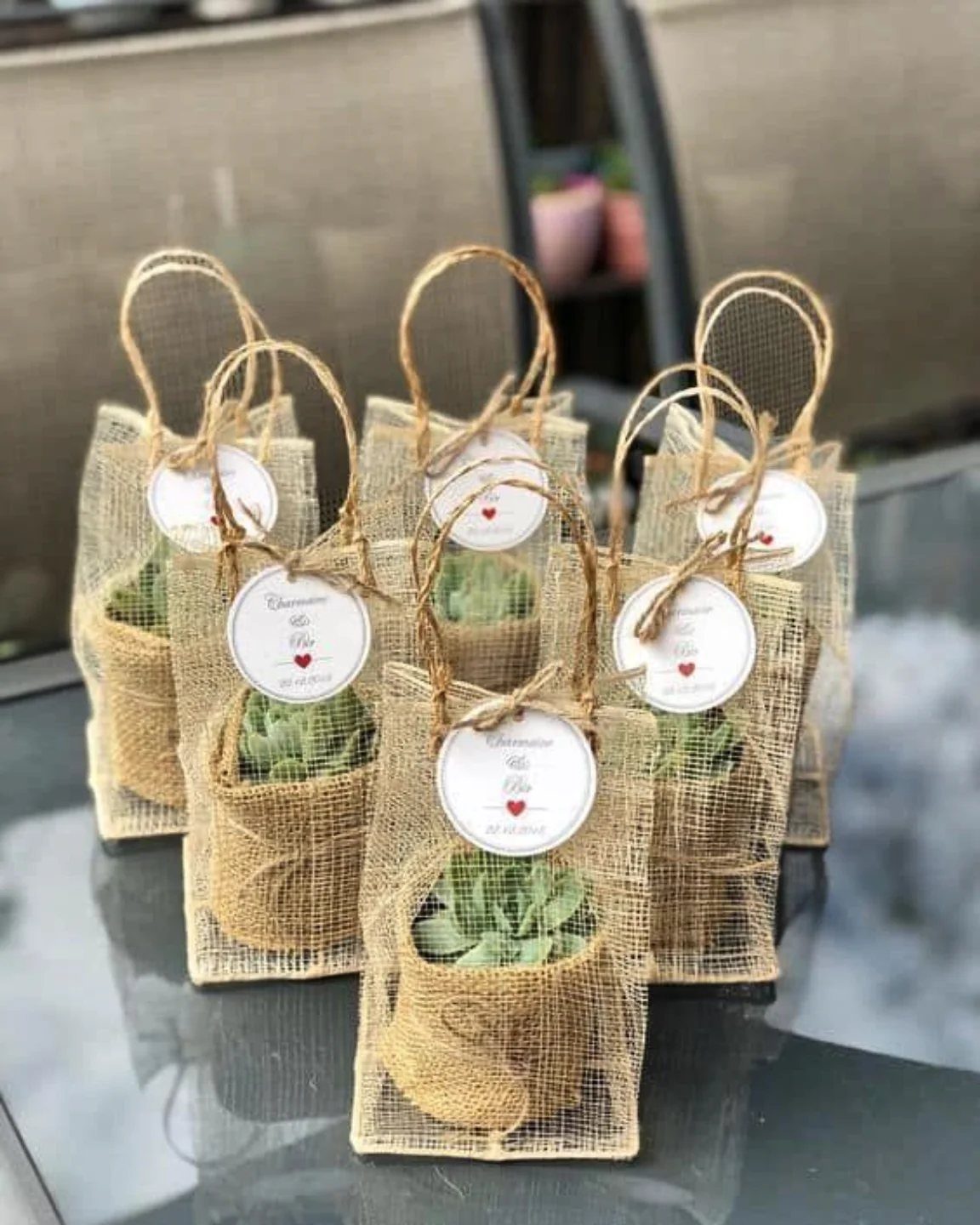 Mini succulents in burlap pots and mesh bags with white gift tags.