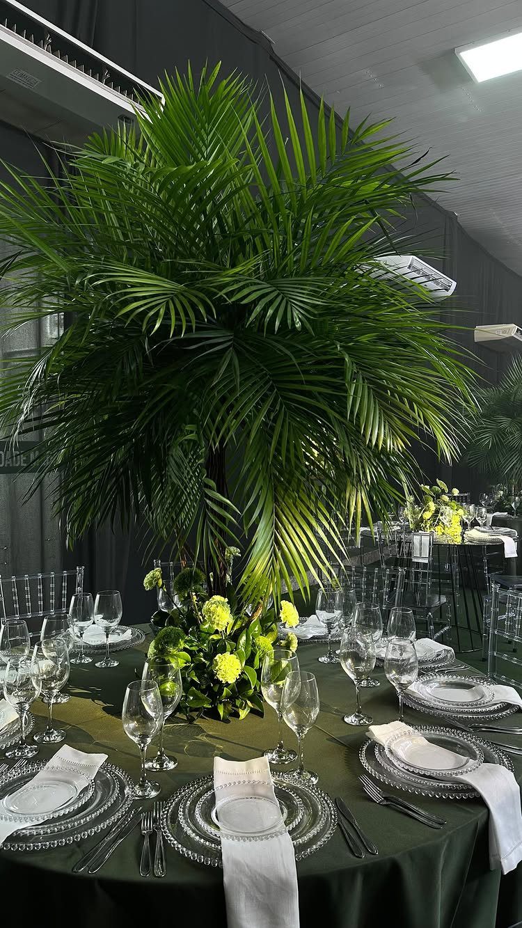 Tall green palm plant centerpiece on a formally set dark green dinner table.