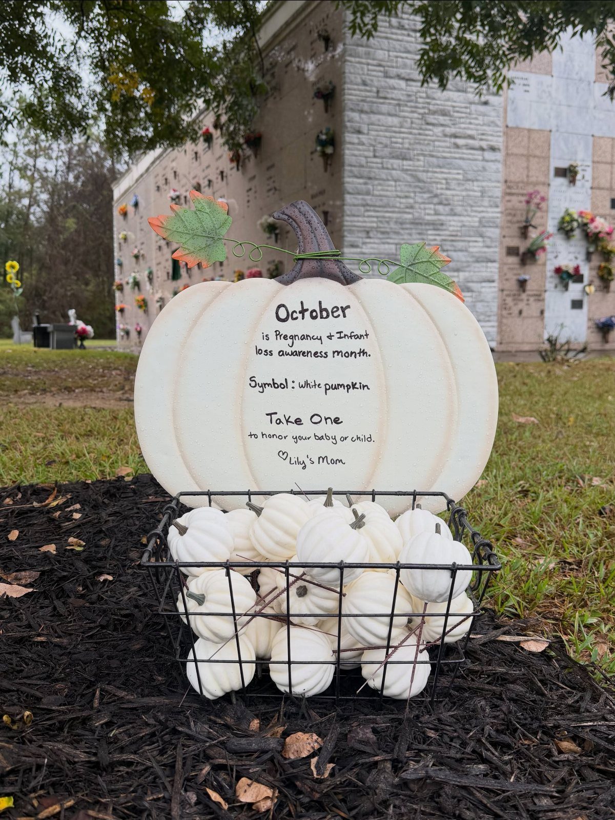 Small white pumpkins in a wire basket with a pumpkin-shaped memorial sign.