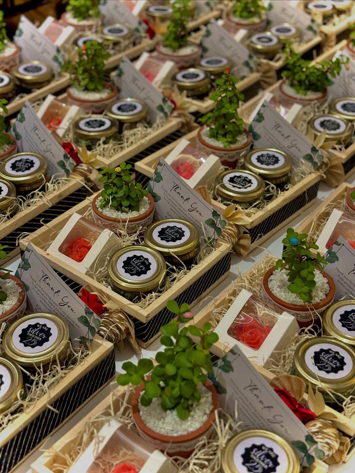 Small green plants in terracotta pots inside gift boxes with jars and cards.