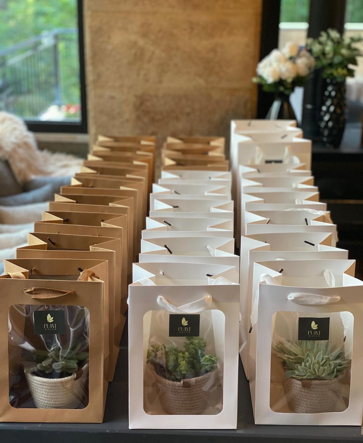 Small succulent plants in twine-wrapped pots inside brown and white gift bags.