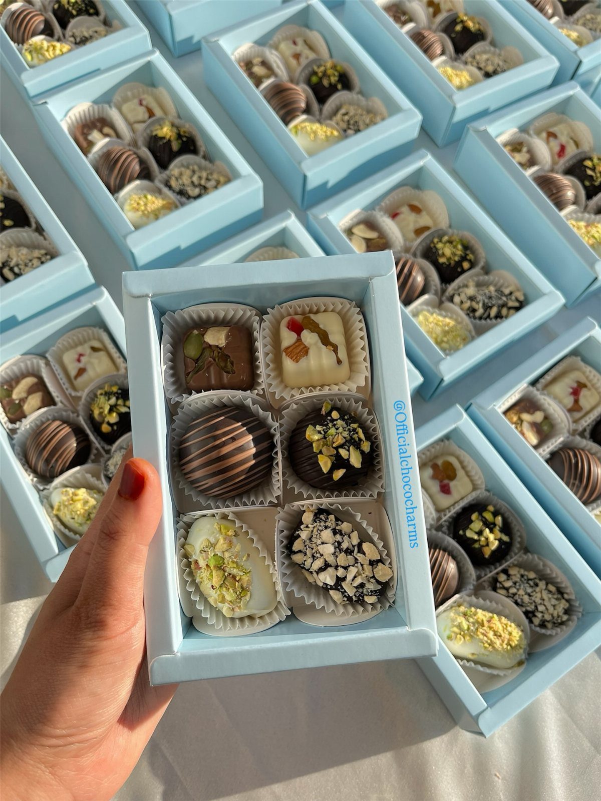 Assorted gourmet chocolates in a light blue gift box held by a hand.
